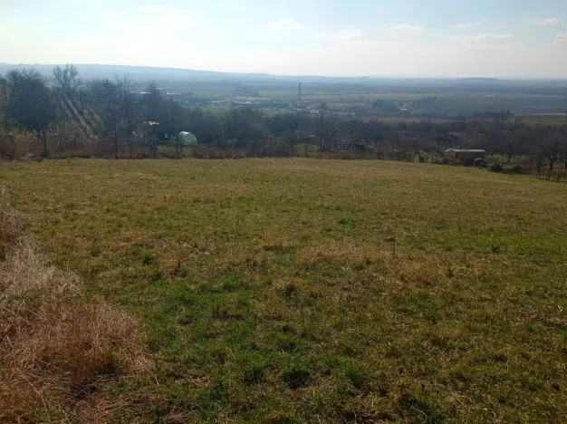 Prodej zahrady, Mikulov, Nová, 537 m2