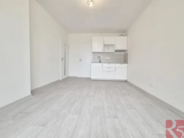 Pronájem bytu 1+kk, Praha - Nusle, Sdružení, 28 m2