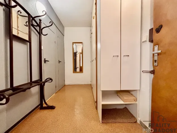 Pronájem bytu 1+1, Brno, Renčova, 45 m2