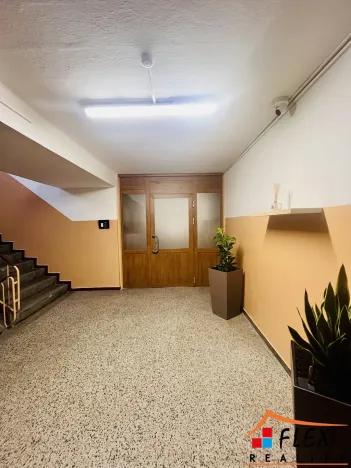 Pronájem bytu 1+1, Ostrava, Čujkovova, 50 m2