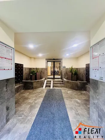 Pronájem bytu 1+1, Ostrava, Čujkovova, 50 m2