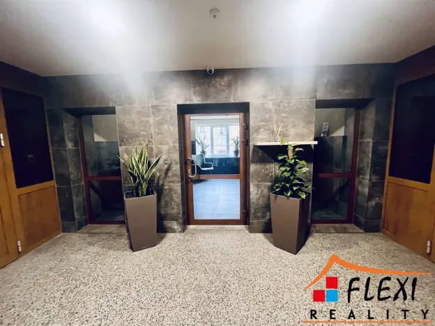 Pronájem bytu 1+1, Ostrava, Čujkovova, 50 m2