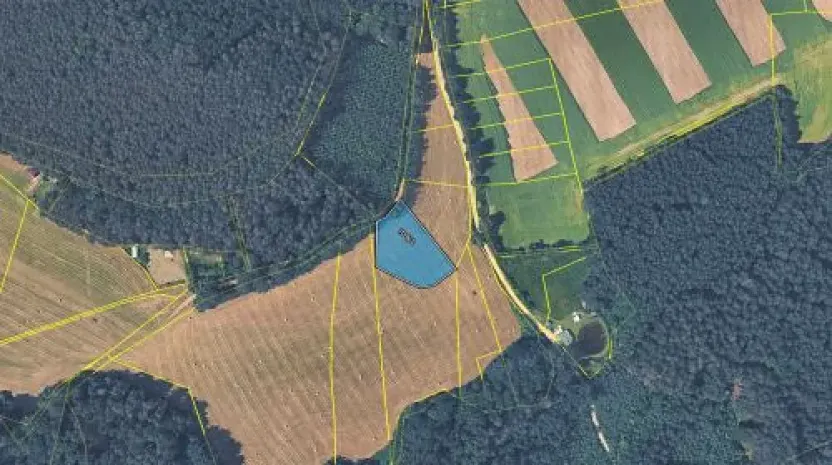 Prodej pole, Holubov, 2498 m2