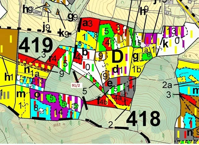 Dražba lesa, Pačejov, 1363 m2