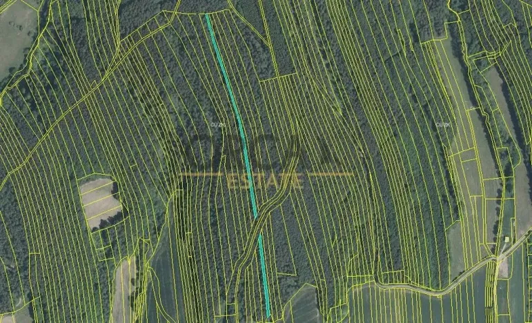 Prodej pole, Sehradice, 7003 m2