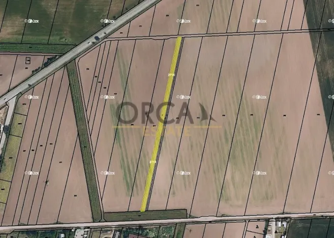 Prodej pole, Strachotín, 1904 m2