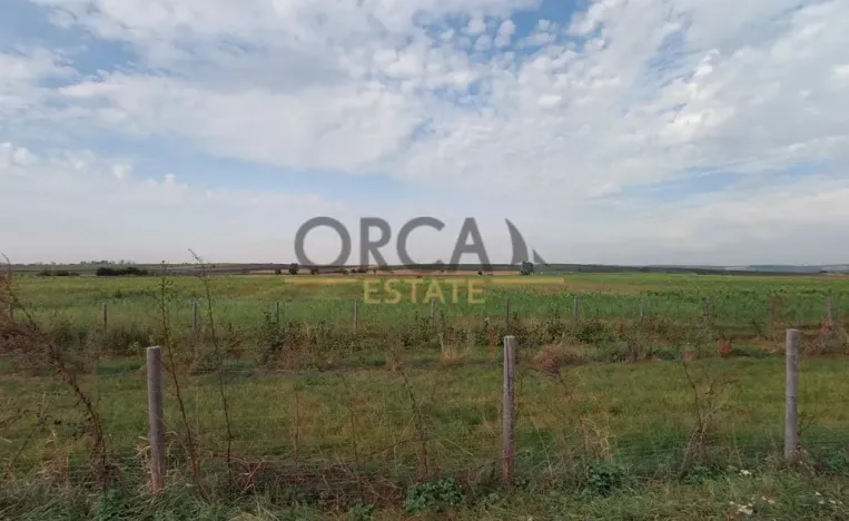 Prodej pole, Strachotín, 1904 m2