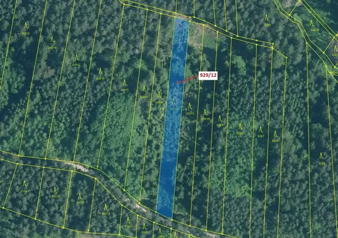 Dražba lesa, Hosty, 1517 m2