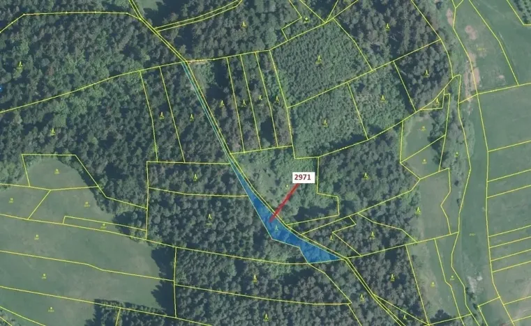 Dražba lesa, Lačnov, 1723 m2