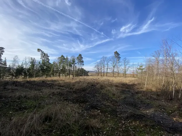 Prodej lesa, Veliny, 4968 m2