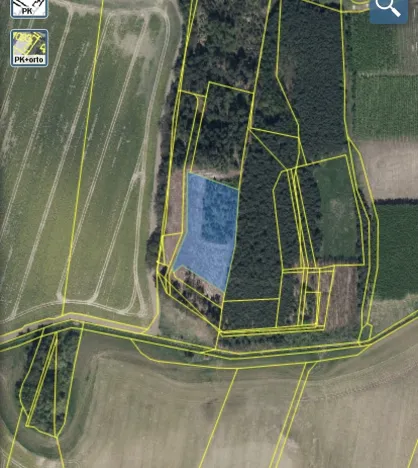 Prodej lesa, Veliny, 4968 m2