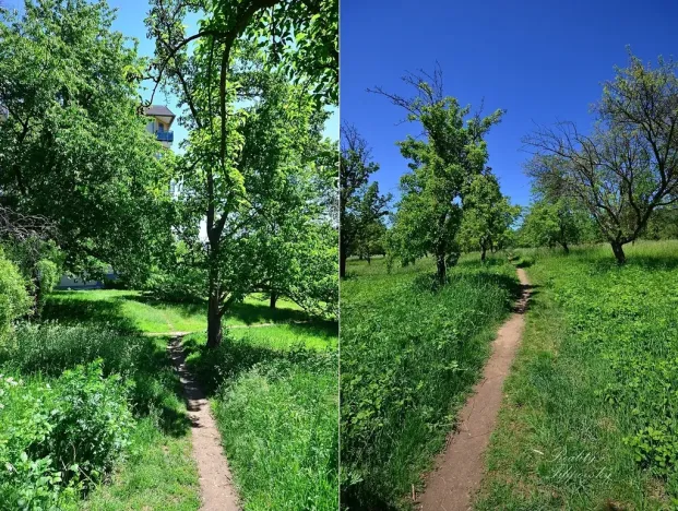 Prodej bytu 2+1, Chlumec, Stradovská, 64 m2