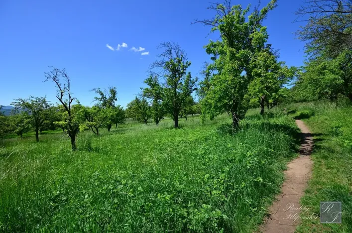 Prodej bytu 2+1, Chlumec, Stradovská, 64 m2