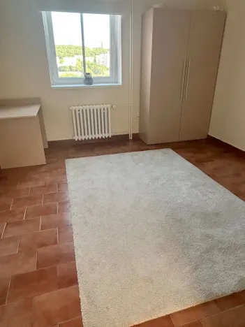 Pronájem bytu 1+1, Praha - Braník, Branická, 28 m2