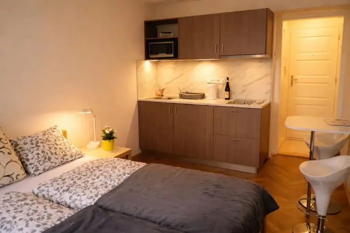 Pronájem bytu 1+kk, Praha - Žižkov, Fibichova, 25 m2