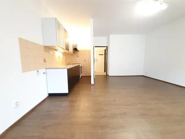 Pronájem bytu 1+kk, Praha - Nusle, Bohuslava ze Švamberka, 34 m2