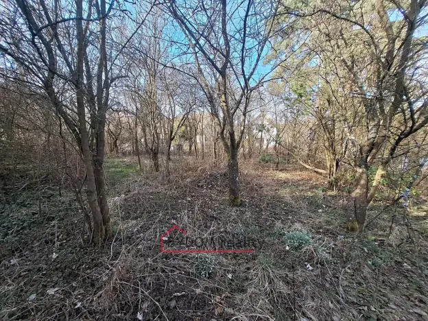 Prodej zahrady, Nové Mitrovice, 1216 m2