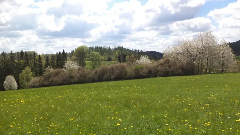 Prodej pozemku, Vítkov, 5357 m2