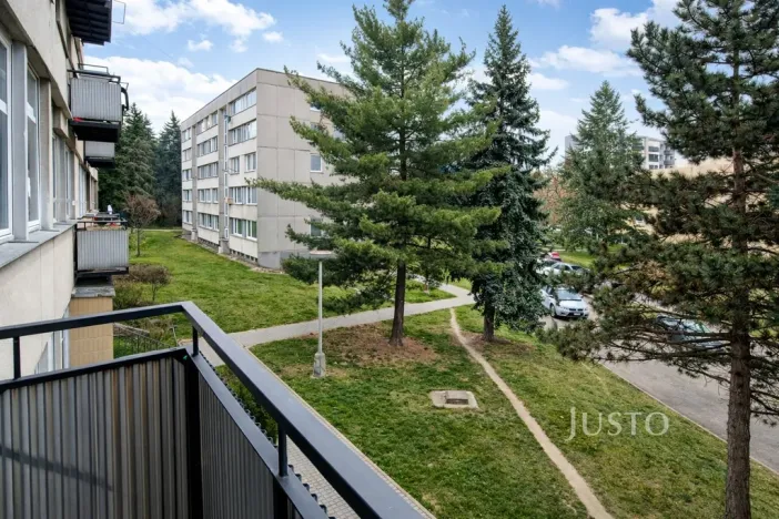 Prodej bytu 1+1, Písek - Budějovické Předměstí, třída Přátelství, 38 m2