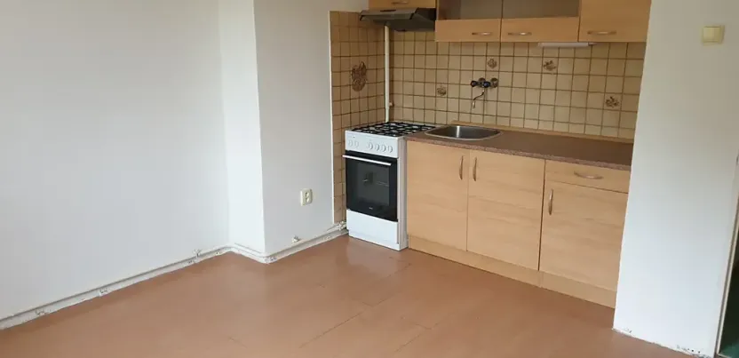 Pronájem bytu 1+kk, Novosedlice, Drahénská, 30 m2