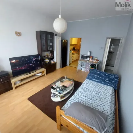 Prodej bytu 1+1, Litvínov - Horní Litvínov, Koldům, 27 m2