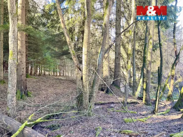 Prodej lesa, Dolní Dobrouč - Lanšperk, 4113 m2