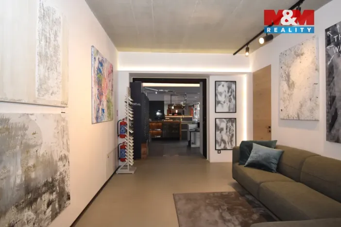 Pronájem kanceláře, Ostrava, Brandlova, 234 m2