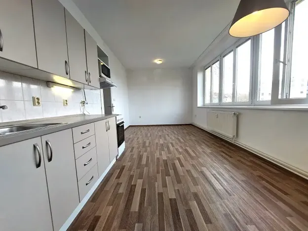 Pronájem bytu 2+kk, Brno, Renneská třída, 48 m2