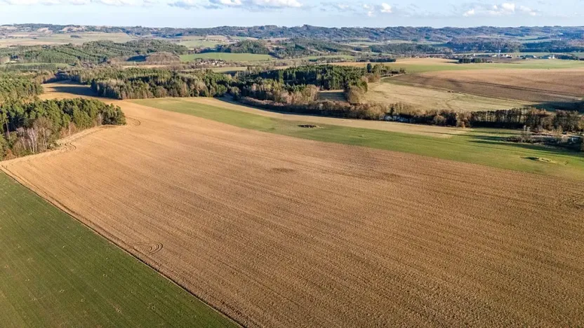 Prodej zemědělské usedlosti, Šebířov, 120 m2