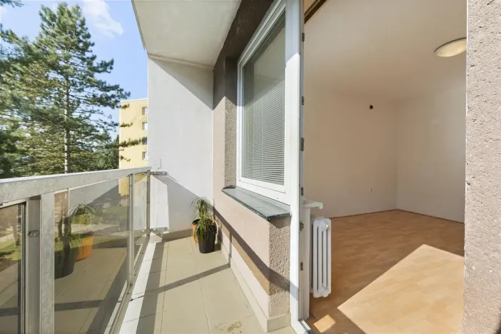 Prodej bytu 2+1, Blansko, Salmova, 56 m2