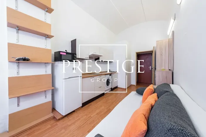 Pronájem bytu 1+kk, Praha - Vinohrady, Šafaříkova, 28 m2
