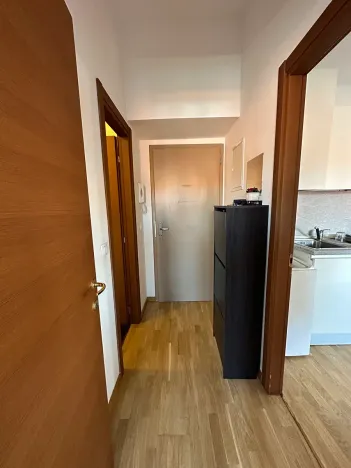 Pronájem bytu 3+kk, Praha - Vyšehrad, Neklanova, 60 m2