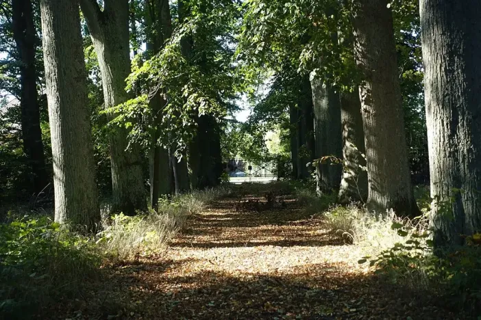 Dražba chalupy, Studenec, 3331 m2