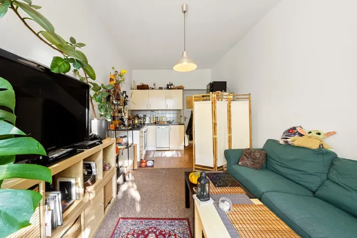 Prodej bytu 2+kk, Praha - Žižkov, Hartigova, 51 m2