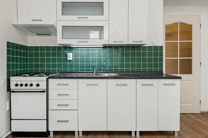 Prodej bytu 2+kk, Praha - Žižkov, Hartigova, 51 m2