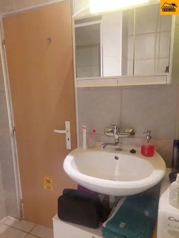 Pronájem bytu 1+kk, Brno - Dolní Heršpice, 29 m2