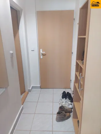 Pronájem bytu 1+kk, Brno - Dolní Heršpice, 29 m2