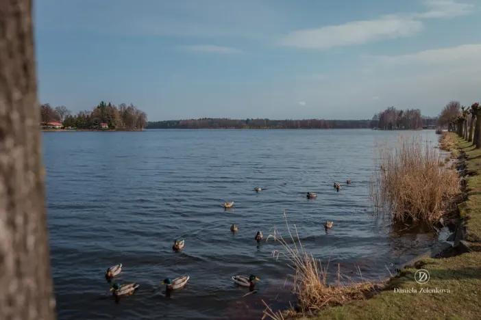 Prodej chaty, Chlum u Třeboně, 62 m2