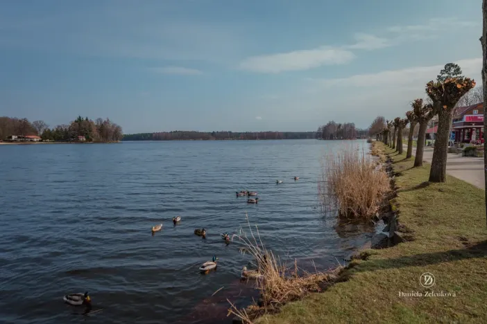 Prodej chaty, Chlum u Třeboně, 62 m2