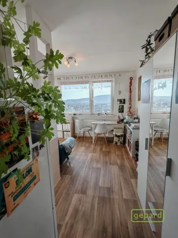 Prodej bytu 1+1, Liberec, Dobiášova, 40 m2