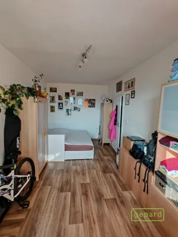 Prodej bytu 1+1, Liberec, Dobiášova, 40 m2