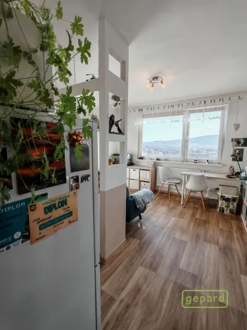 Prodej bytu 1+1, Liberec, Dobiášova, 40 m2