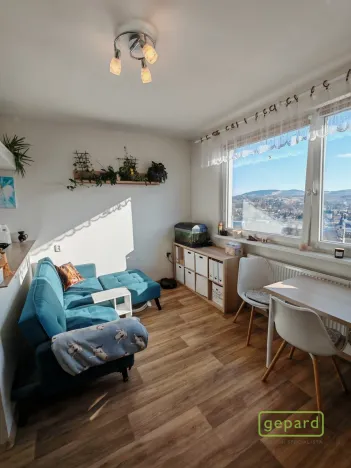 Prodej bytu 1+1, Liberec, Dobiášova, 40 m2