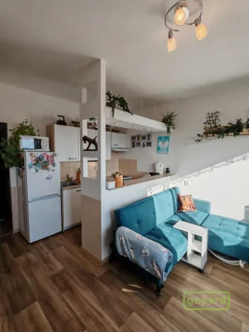 Prodej bytu 1+1, Liberec, Dobiášova, 40 m2