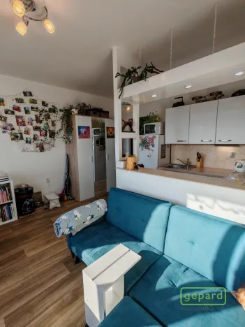 Prodej bytu 1+1, Liberec, Dobiášova, 40 m2