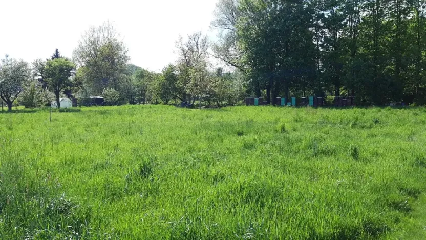 Prodej zahrady, Libina, 2827 m2