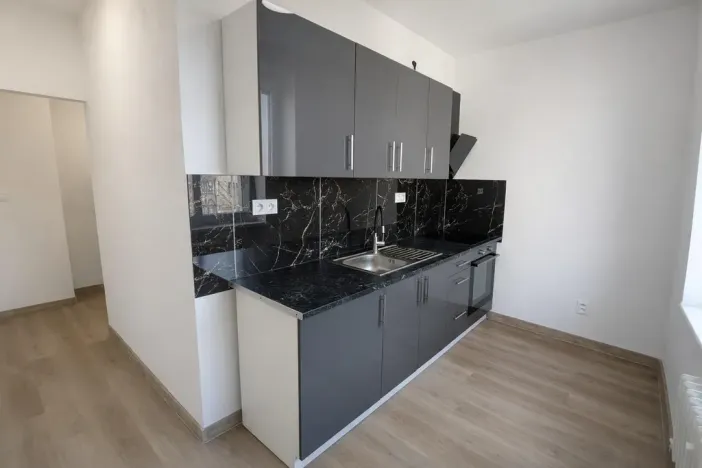 Pronájem bytu 2+1, Most, Maxe Švabinského, 55 m2