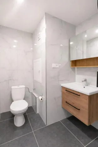 Pronájem bytu 2+1, Most, Maxe Švabinského, 55 m2