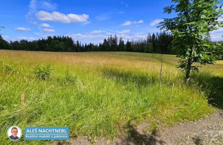 Prodej pozemku, Zásada, 2647 m2