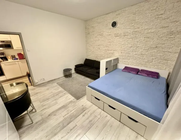 Pronájem bytu 1+kk, Praha - Nové Město, Krakovská, 36 m2